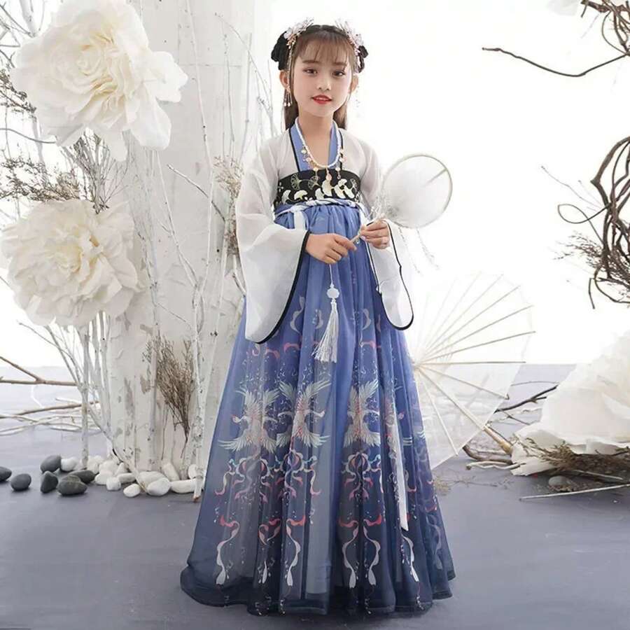 Summer Tang Girls Dresses Cosplay Perform Baby Hanfu Vestidos Party Long Chinese Dress Girl Costume Kids Clothes Children Outfit - 2-藍色鳳凰 - 查看 1