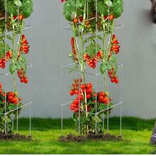 Jaulas para tomates, 11.8" x 11.8" x 46.1", 10 paquetes de jaulas cuadradas de soporte para plantas, torres de tomate de acero recubiertas de PVC plateadas para trepar verduras, plantas, flores y frutas - Verde - Ver 1