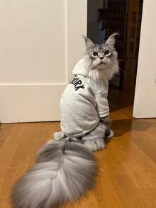 印花狗狗连帽卫衣，保暖衣物，适合小型和中型犬，吉娃娃外套，幼犬服装，猫咪服装 - 淺灰色 - 查看 9