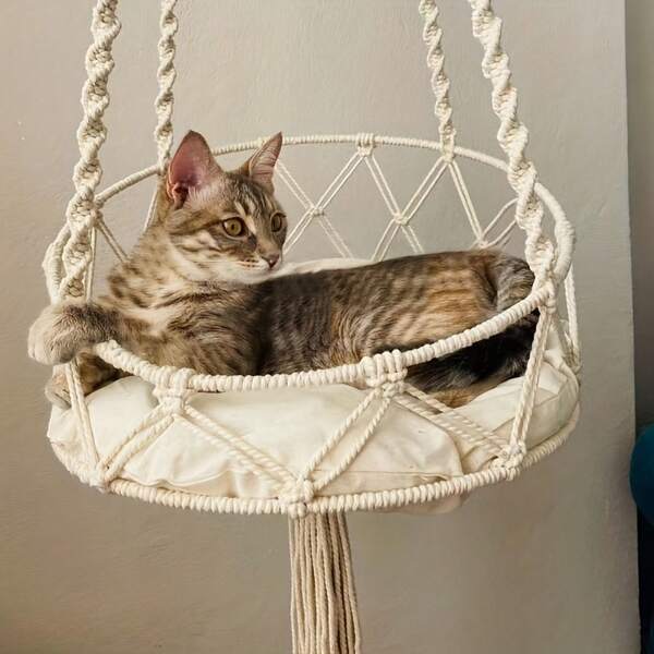 Best Seller Woven Hanging Hanging Hanging Basket Swing Cat Nest Balcony Nest Hammock Cat Ins Cradle Handmade Wall Hanging