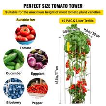 Jaulas para tomates, 11.8" x 11.8" x 46.1", 10 paquetes de jaulas cuadradas de soporte para plantas, torres de tomate de acero recubiertas de PVC plateadas para trepar verduras, plantas, flores y frutas - Verde - Ver 3