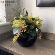 球形玻璃花瓶水培容器，苔藓和多肉植物种植器，桌面水族箱，创意玻璃瓶