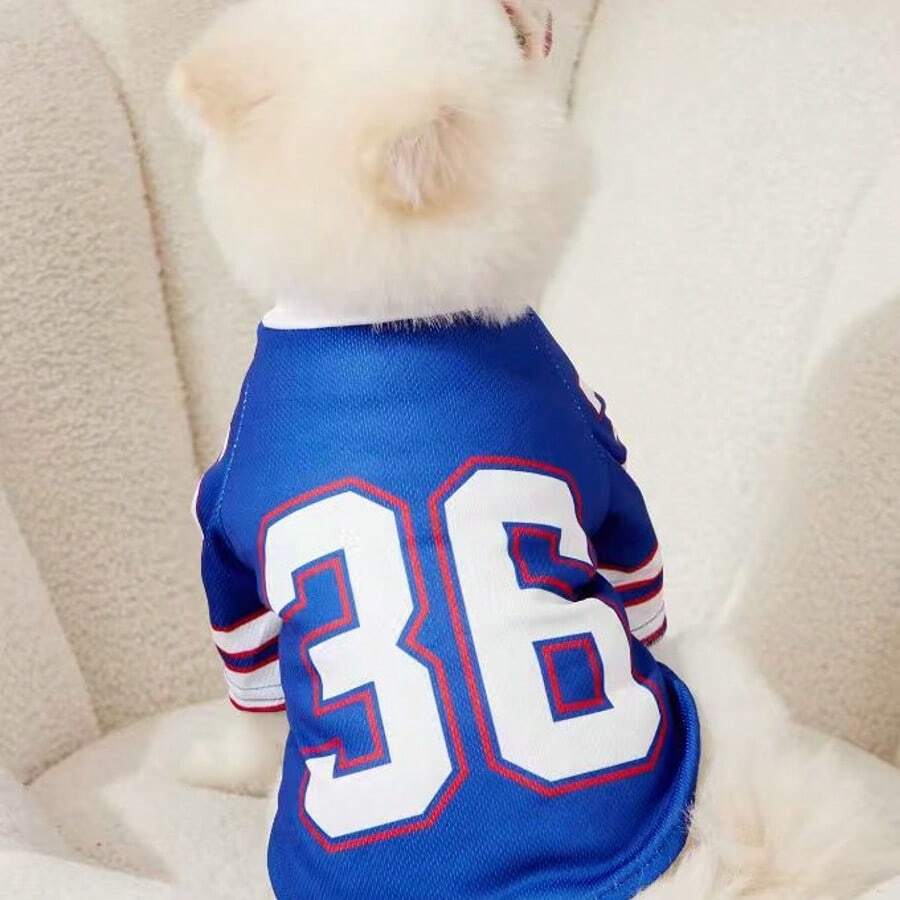 1件宠物猫/狗通用#卫衣，字母印花，时尚休闲运动风舒适宠物服装 - 藍色 - 查看 1