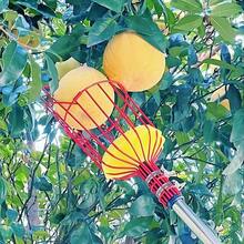 1pc High Reach Fruit Picker Tool, Suitable For Apples, Oranges, Avocados, Walnuts, Lemons And Mangoes - Red - View 3
