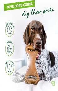 Benebone Dental Durable Dog Chew Toy For Aggressive Chewers, Real Bacon, Made In USA, Medium - ColorA - 查看 3