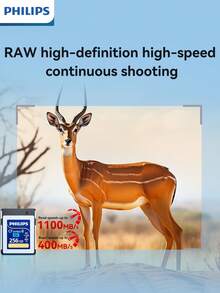 PHILIPS 飞利浦 CFexpress Type B 卡，读取速度高达 1100MB/s，写入速度高达 400MB/s，专为专业相机和流畅的 4K 视频录制而设计（128GB/256GB/512GB）