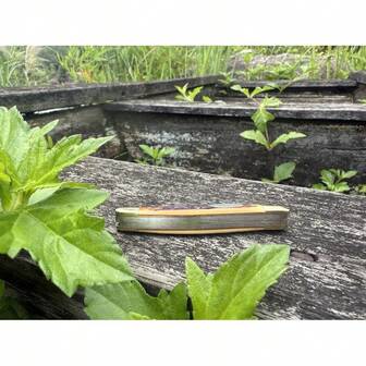 440 Stainless Steel Folding Pocket Knife Outdoors Manual Knife,8.9cm Overall,6cm Stainless Steel Blades,Huntin...