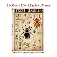 1 Pieza Póster de Lienzo, Tipo de Póster de Araña, Tipo de Póster de Animal, Póster de Ilustración de Araña, Arte de Pared para Sala de Estar, Decoración de Pared de Dormitorio, Decoración de Habitación, Sin Marco - transparente - Ver 2