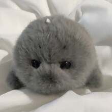 1个可爱海豹毛绒玩偶 - 儿童毛绒玩具 - 抱枕 - 摆件 - 娃娃 - 挂饰 - 家居装饰 - 车内装饰 - 史迪奇玩具、旅行玩具、课堂减压玩具、迷你小物、洗澡玩具、圣诞文具、压力球 - 生日礼物、圣诞礼物、万圣节礼物、完美礼物 - 彩色 - 查看 6