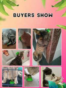 1/3pcs Cat Toy Balls, Cat Energy Balls, Edible Kitten Licking Balls, Healthy Cat Teeth Cleaning Chew Toys, Cat Wall Toys, Cat Toy Balls, Sticky Cat Toys