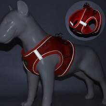 1 Set Cat & Dog Harness Leash, 4-Season Use For Small/Medium Pets, Breathable Mesh Adjustable Reflective Pet Vest Harness (Size Runs Slightly Large)