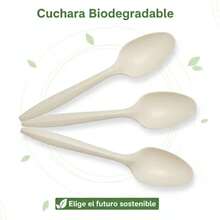 Blipack 100  Disposable Spoons Made With Cornstarch, 6 Inches, Compostable And Durable - Apricot - View 5