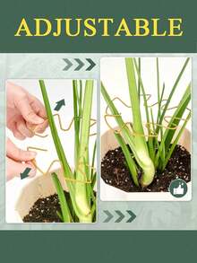 Durable Monstera Deliciosa Plant Support - Unique Design Suitable For Climbing Plants, Monstera Deliciosa Clip Set, Ideal Plant Support To Promote Healthy Growth - Multicolor - View 10