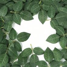 10/15/20/25/30/50/80/100片人造玫瑰叶带茎，绿色玫瑰叶，适用于DIY婚礼花束、餐桌装饰、派对装饰、玫瑰花环等。 - 綠色 - 查看 10