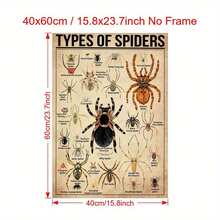 1 Pieza Póster de Lienzo, Tipo de Póster de Araña, Tipo de Póster de Animal, Póster de Ilustración de Araña, Arte de Pared para Sala de Estar, Decoración de Pared de Dormitorio, Decoración de Habitación, Sin Marco - transparente - Ver 9