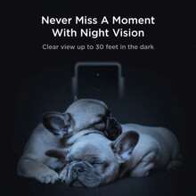 Pet Camera White, 2025 Year - As Pic - View 5