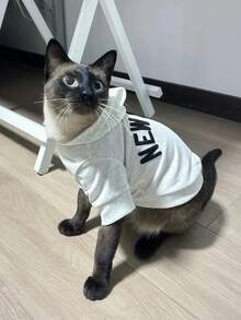 印花狗狗连帽卫衣，保暖衣物，适合小型和中型犬，吉娃娃外套，幼犬服装，猫咪服装 - 淺灰色 - 查看 8