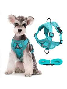 New Dog Leash Vest Style Pet Cat Chest Strap Reflective Breathable Walking Cat Leash Dog Leash Adjustable Small, Medium And Large Dog Walking Leash Chest Strap - Multicolor - View 3