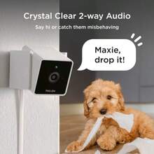 Pet Camera White, 2025 Year - As Pic - View 3
