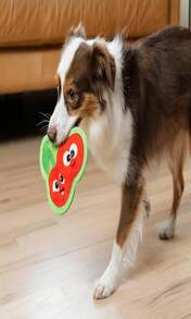 Outward Hound Tough Skinz Durable Squeaky Dog Toy With Two Tough Layers, Watermelon, Red, Medium - MàuC - Xem 6