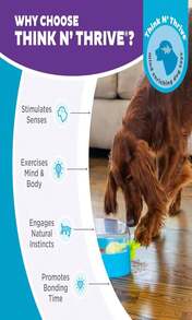 Outward Hound By Nina Ottosson Dog Brick Treat Puzzle Enrichment Toy, Level 2 Intermediate Game, Blue - MàuH - Xem 6