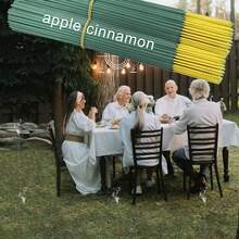 30/50/150pcs 8.22" Apple Cinnamon Incense Sticks, Natural Fragrance Powder Material, Suitable For Home, Yoga, Camping, Gatherings, Reading And Office Use - Apple - View 6