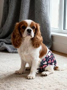 3pcs Reusable Washable Female Dog Diapers, Designed For Female Dogs, Heat Resistant Training Pants Suitable For All Small Breeds - Multicolor - View 9