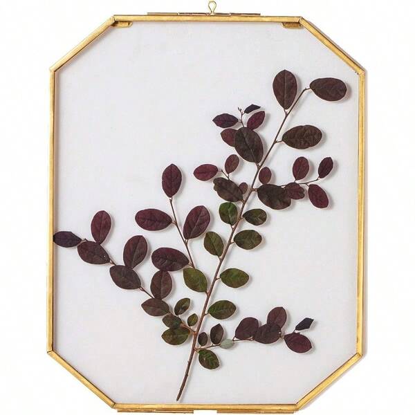 NCYP Hanging Glass Photo Frame 8x10 Inches Double Glass Wall Decor Octagon Herbarium For Pressed Dried Flowers Plant Specimen Poster Gold Clear Floating Frame Glass Frame Only
