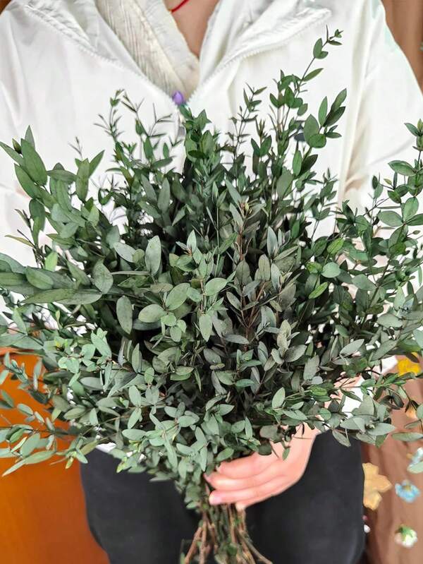 Preserved Eucalyptus Branches, DIY Flower Arrangement, Family Wedding Anniversary Decoration