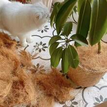 Natural Coconut Fiber Mat - Multipurpose Mat, Suitable For Chicken Coops, Pet Beds, And Garden Planters | Breathable, Odor-Resistant, Reusable | Suitable For Poultry, Reptiles, Birds, And Small Pets | Warm In Winter, Cool In Summer | Indoor/Outdoor Use