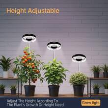 2/4pcs, Grow Lights Indoor Plants, Plant Grow Lights, Growing Lamps, Indoor Lmitation Sun Grow Lights, Seedling Starter Lights, Full Spectrum LED Plant Lights With Automatic 3H/6H/9H Timer, 4-Level Dimmable, Height Adjustable, Ideal For Seedlings, Succulents, Herbs, Hobbyist Growers, Indoor Garden. - 黑色-4件 - 查看 2