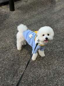 Knitted Sweater For Teddy, Poodle, Bichon Frise, Cats And Dogs, Autumn/Winter - Blue - View 4