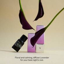 Spruce, Premium Essential Oil 0.3 Fl. Oz - Lavender + 0.3 Fl Oz (Pack Of 1) - View 3