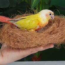 Natural Coconut Fiber Mat - Multipurpose Mat, Suitable For Chicken Coops, Pet Beds, And Garden Planters | Breathable, Odor-Resistant, Reusable | Suitable For Poultry, Reptiles, Birds, And Small Pets | Warm In Winter, Cool In Summer | Indoor/Outdoor Use