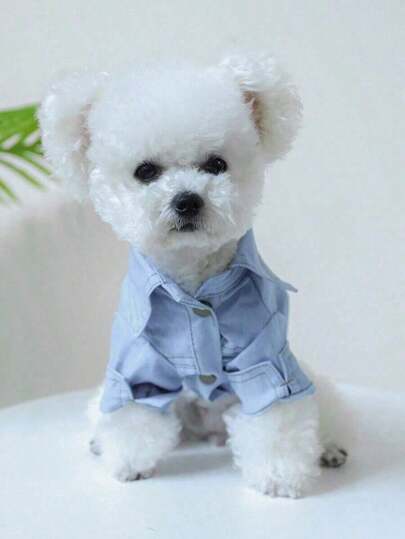 PETCIRCLE 1pc Pet Clothes, Cute Effect Shirt Design Small Dogs & Cats, Suitable Teddy, Pomeranian, Chihuahua