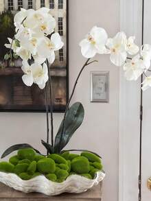 8pcs Artificial Moss Stones, Green Realistic Moss Balls And Rocks, Suitable For Flower Arranging, Fairy Gardens And DIY, Made Of Super Fine Fiber, Seasonal Decor, Garden Accents And Craft Projects, Miniature Landscape, Wall Decor And Photography Props, Outdoor Rock Garden Decor, Party And Holiday Decorations, Boho Style, Bedroom Decor Accessories, Valentine's Day And Mother's Day Decor, Spring Decor