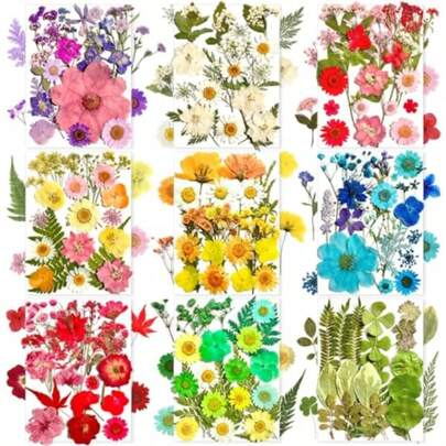 182Pcs Dried Pressed Flowers For Resin Molds Assorted Real Natural Bulk Dry Floral Leaves For DIY Art Crafts Epoxy Jewelry Candle Soap Making Nails Decors Gifts