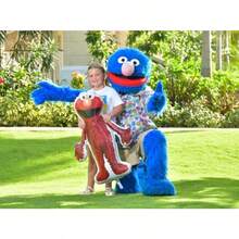 ®  Foil Balloon 3 Pack 1 X 39" Big Bird 1 X 37" Elmo And 1 X 35" Cookie Monster Characters Party Decorations - 黃紅藍 - 查看 4