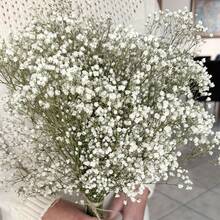 The "Baby Breathing" Series Of Artificial Flowers; Perfect For Weddings, Parties, DIY Parties, And Home Garden Decorations; Also Available In Mixed Color Designs