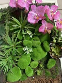 8pcs Artificial Moss Stones, Green Realistic Moss Balls And Rocks, Suitable For Flower Arranging, Fairy Gardens And DIY, Made Of Super Fine Fiber, Seasonal Decor, Garden Accents And Craft Projects, Miniature Landscape, Wall Decor And Photography Props, Outdoor Rock Garden Decor, Party And Holiday Decorations, Boho Style, Bedroom Decor Accessories, Valentine's Day And Mother's Day Decor, Spring Decor