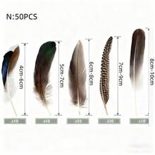 24pcs/4 Styles Natural Spotted Feathers, 6-8 Inches, Bulk Craft Supplies For Clothing, Jewelry, DIY Decoration