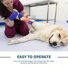 宠物止血带、宠物脉搏带、迷你止血带、猫狗通用止血带、宠物急救用品