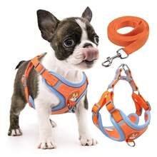 Chest Harness And Leash Set For Dogs And Cats – Comfortable, , And Adjustable For Small And Medium-Sized Pets. - 橘色 - 查看 9