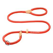 Standard Leashes - Orange - View 2