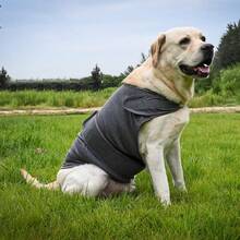 Dog Anxiety Jacket, Skin-Friendly Calming Shirt For Dogs - Dog Vest For Thunder, Fireworks And Separation - Keep Pet Calm Without Medicine & Training, Anti Anxiety Coat For Dogs (Dark Grey, XL)Christmas - 淺灰色 - 查看 2