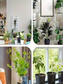 1-3pcs Plant Water Level Indicator Set, 7.09 Inch PVC Water Level Indicator, Water Level Indicator, Plant Water Level Indicator, Suitable For Hydroponics, Planter Boxes, Potted Plants, Plant Watering Indicator, Plant Water Level Monitor, Plant Watering Indicator And PH Value, Potted Plant Care, Hydroponics Tools, Compact Size, Practical Indicator, Reliable Material, Durable Plastic, Plant Hydration Tool, Greenhouse Users, Hydroponics Growers