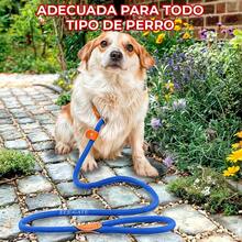 Standard Leashes - Blue - View 7