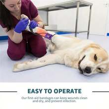 宠物止血带、宠物脉搏带、迷你止血带、猫狗通用止血带、宠物急救用品