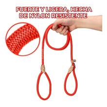 Standard Leashes - Orange - View 4