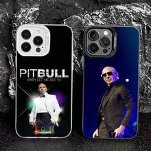 Funda para Singer Pitbull compatible con 17 14 Pro 12 Max 15 Plus 11 13 16, cubierta de color láser IMD plateada electrochapada - Z7 - Ver 1
